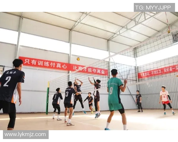 上海排球队实力分析与未来发展趋势探讨