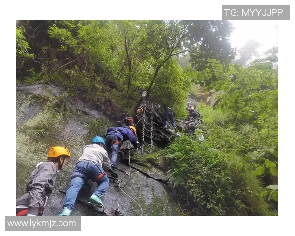 攀岩人生的深度对话：陈磊如何在高峰与挑战中找到自我