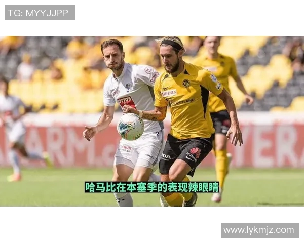 天狼星与哈马比对决分析及推荐策略分享