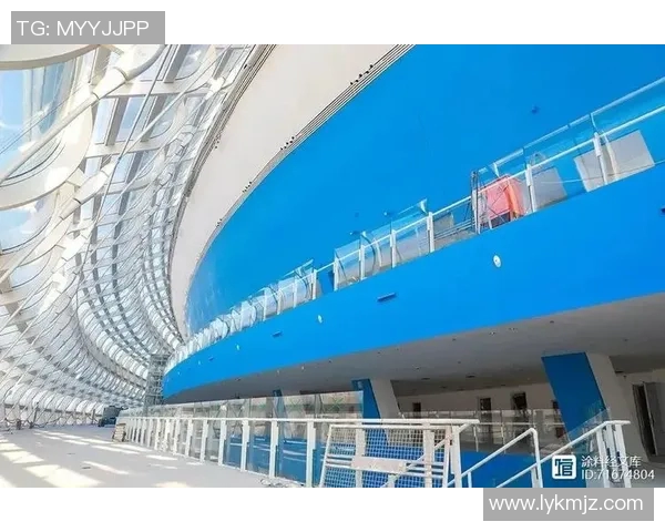 北京理工与河北精英激战正酣谁将成为赛场上的最终赢家