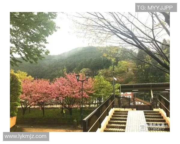 草津温泉与大阪樱花的魅力对决:温泉与樱花的完美融合之旅 草津温泉与大阪樱花的魅力对决:温泉与樱花的完美融合之旅