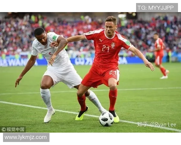 乌克兰与尼日尼亚的激战分析及未来发展展望