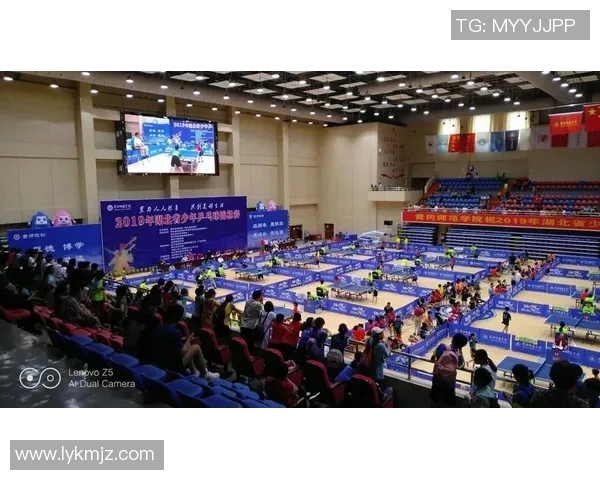 乒乓球盛宴揭秘重庆乒乓球队的训练与竞技状态全景分析