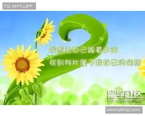 张帆的成长之路：从普通学生到行业精英的励志故事与人生感悟