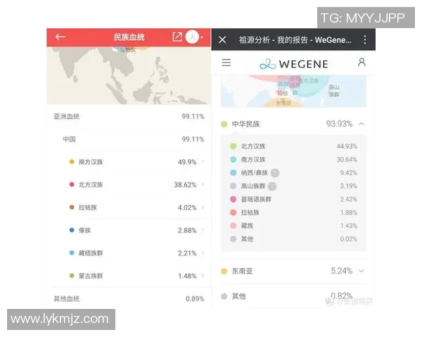数据分析揭示WE意识在不同群体中的表现与影响因素探讨